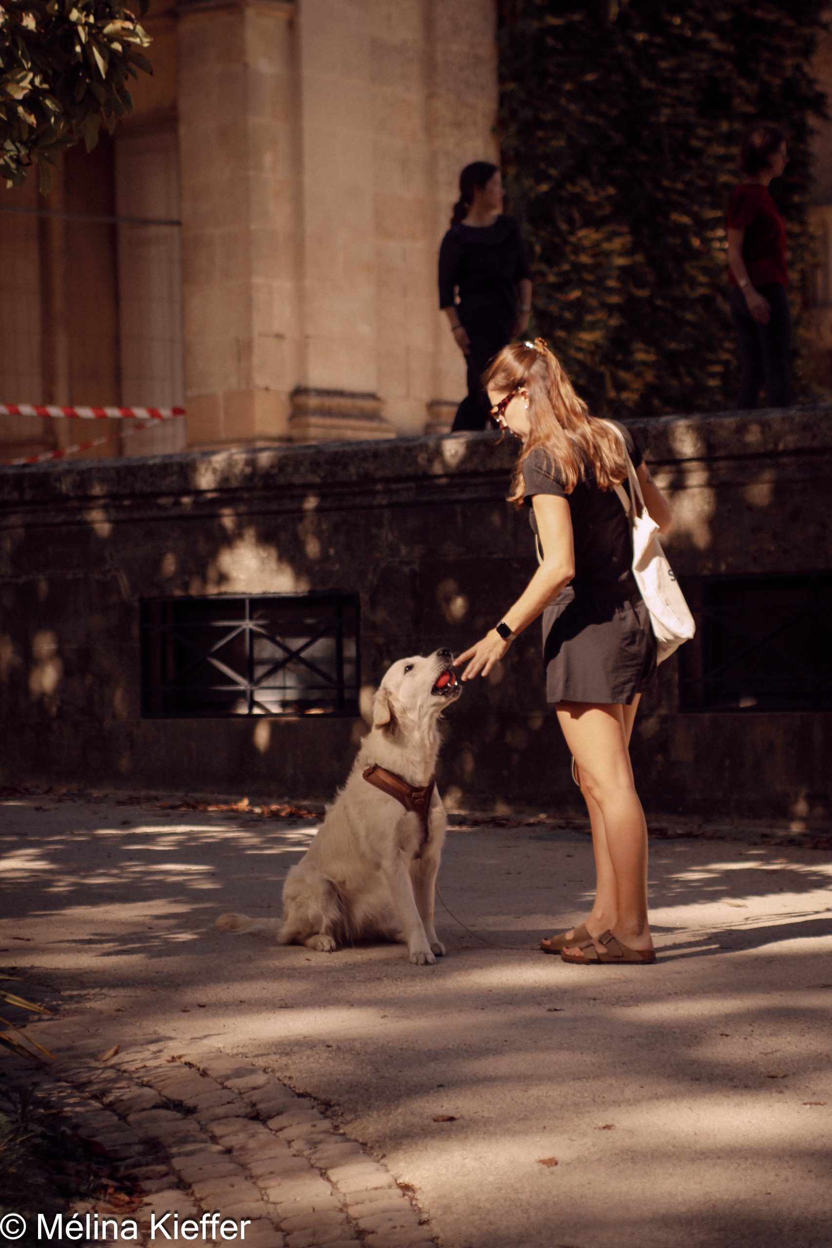 Photo d'une maîtresse et son chien