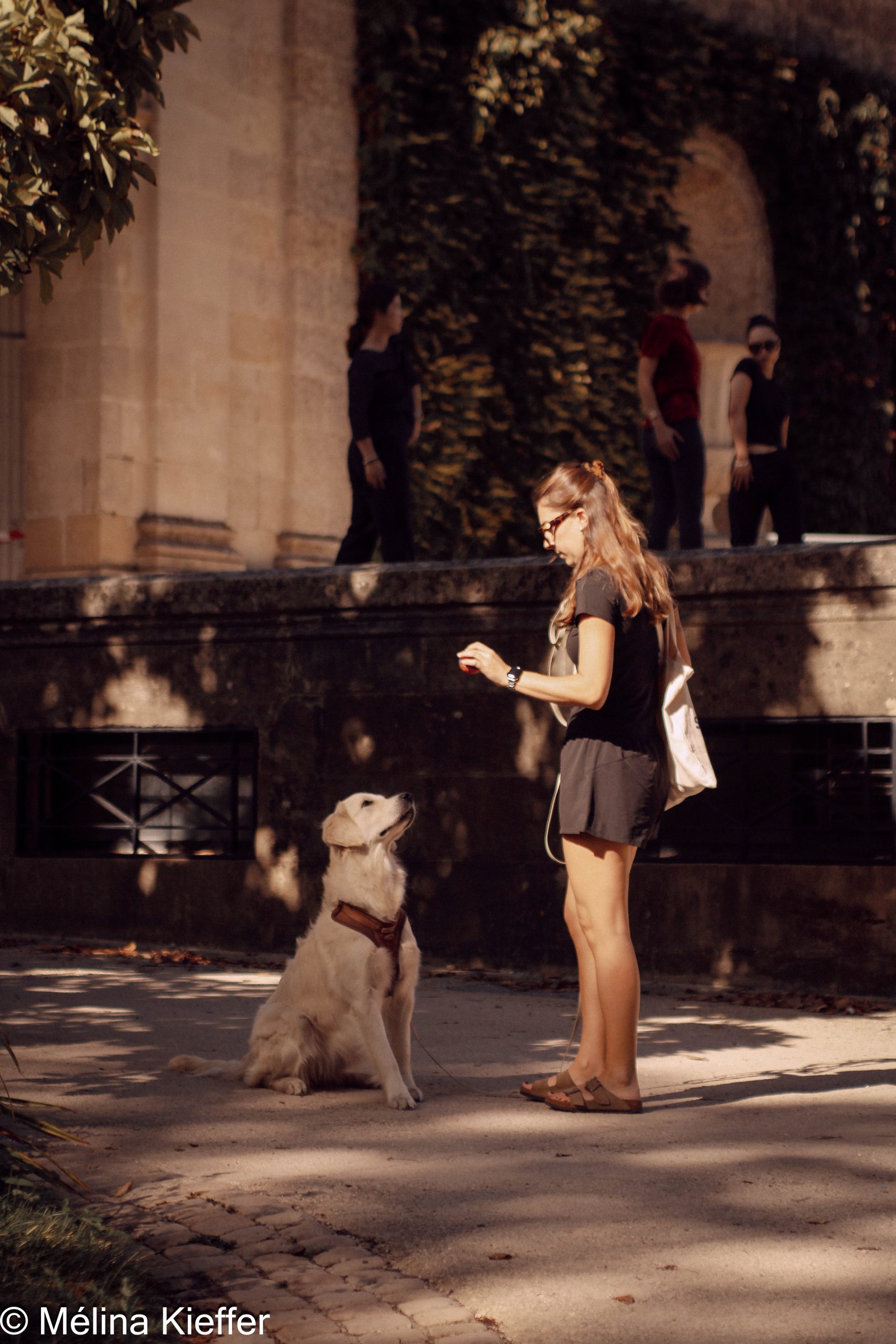 Photo street art d'une maitresse et son chien